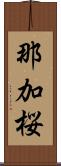 那加桜 Scroll