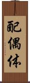 配偶体 Scroll