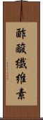 酢酸繊維素 Scroll