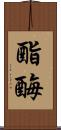 酯酶 Scroll