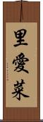 里愛菜 Scroll