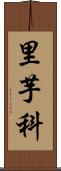 里芋科 Scroll