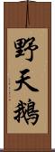 野天鵝 Scroll