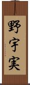野宇実 Scroll