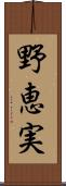 野恵実 Scroll