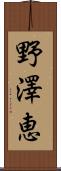 野澤恵 Scroll