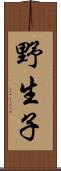 野生子 Scroll