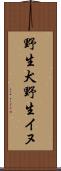 野生犬 Scroll