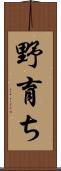 野育ち Scroll