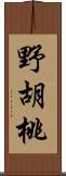 野胡桃 Scroll