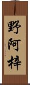 野阿梓 Scroll