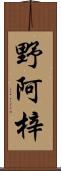 野阿梓 Scroll