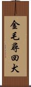 金毛尋回犬 Scroll