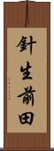 針生前田 Scroll