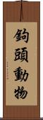 鉤頭動物 Scroll