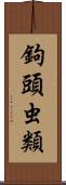 鉤頭虫類 Scroll