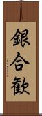 銀合歓 Scroll