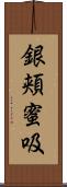 銀頬蜜吸 Scroll