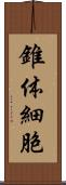 錐体細胞 Scroll