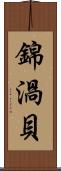 錦渦貝 Scroll