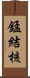 錳結核 Scroll