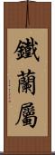 鐵蘭屬 Scroll