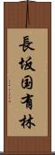 長坂国有林 Scroll