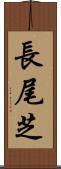 長尾芝 Scroll