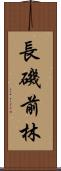 長磯前林 Scroll