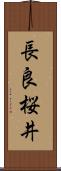 長良桜井 Scroll