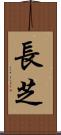 長芝 Scroll