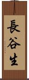 長谷生 Scroll