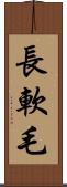 長軟毛 Scroll