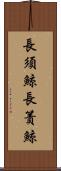 長須鯨 Scroll