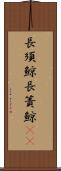 長須鯨 Scroll