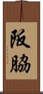 阪脇 Scroll