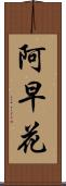 阿早花 Scroll