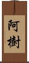 阿樹 Scroll