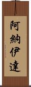 Anaida Scroll