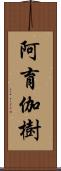 阿育伽樹 Scroll