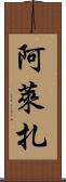 Aleeza Scroll