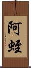 阿蛭 Scroll