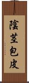 陰茎包皮 Scroll