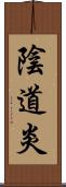 陰道炎 Scroll