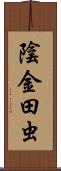 陰金田虫 Scroll