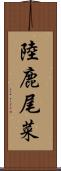 陸鹿尾菜 Scroll