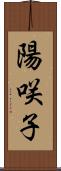 陽咲子 Scroll