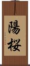 陽桜 Scroll