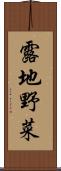 露地野菜 Scroll
