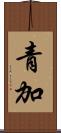青加 Scroll